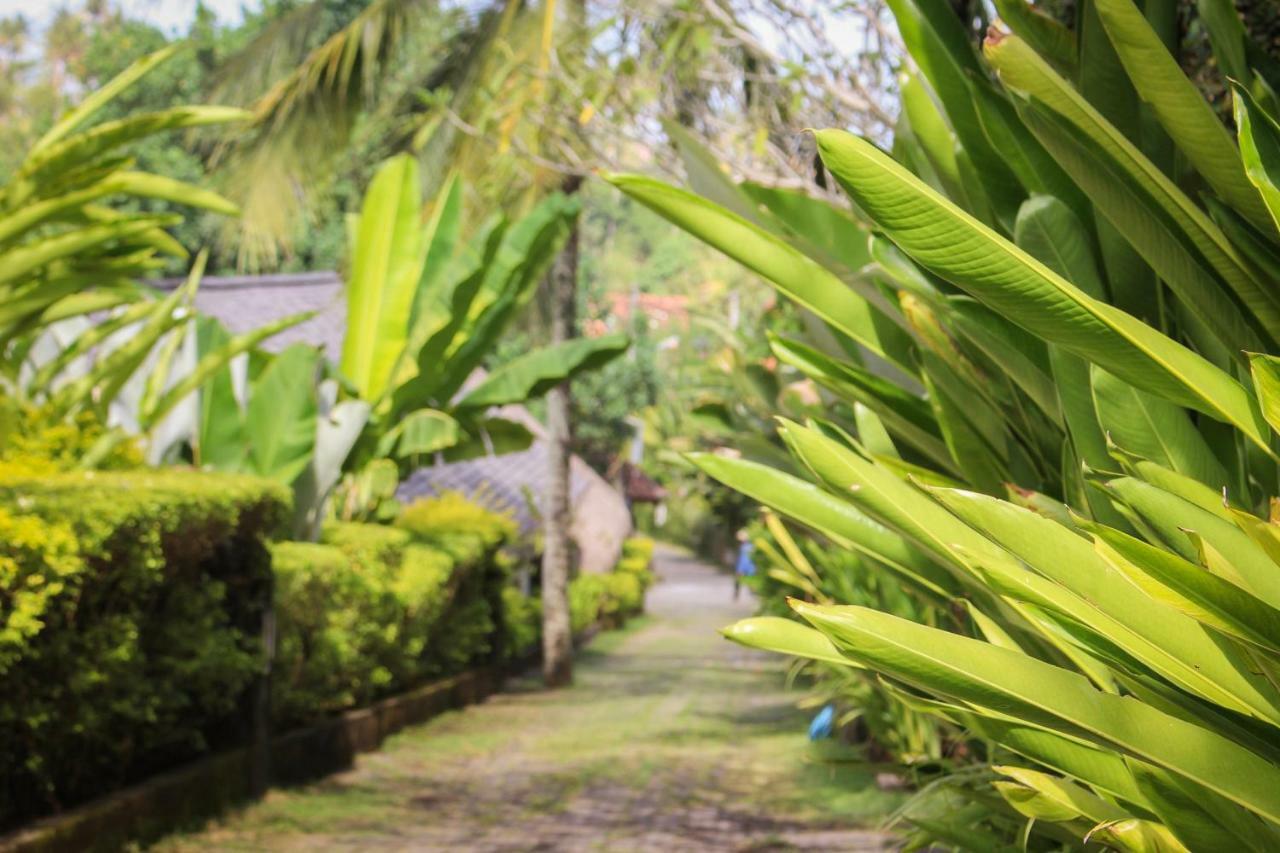 Balian Surf Villas Selemadeg  Exterior foto